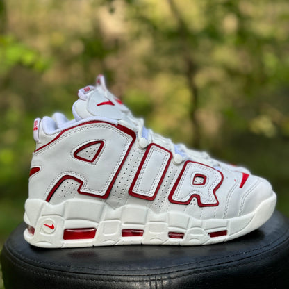 AIR MORE UPTEMPO Alb-Rosu C