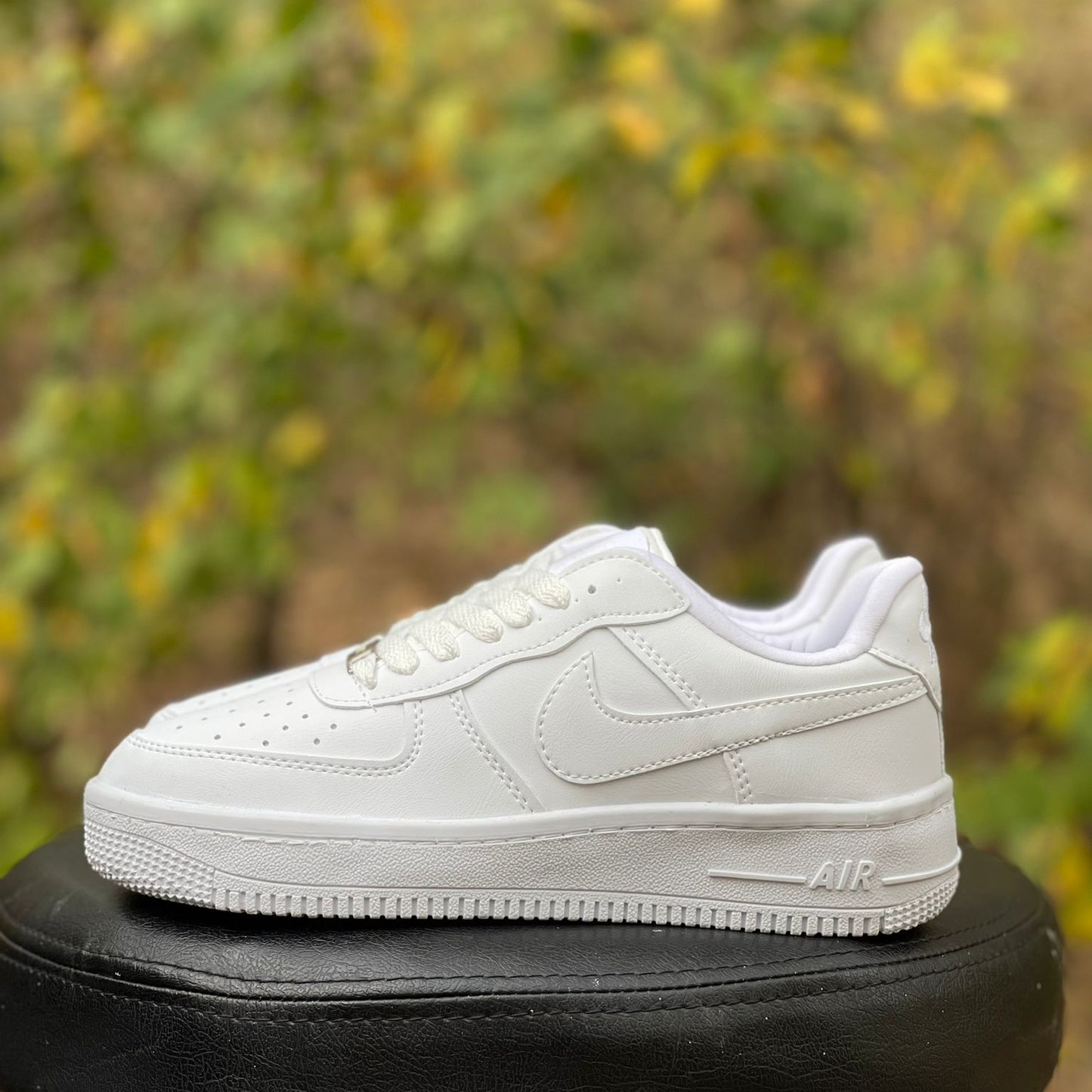 AF1 Low Alb